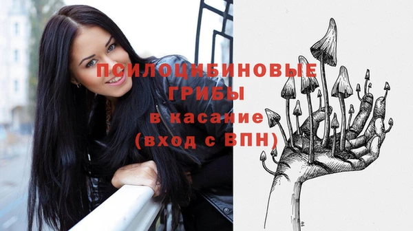 2c-b Кукмор