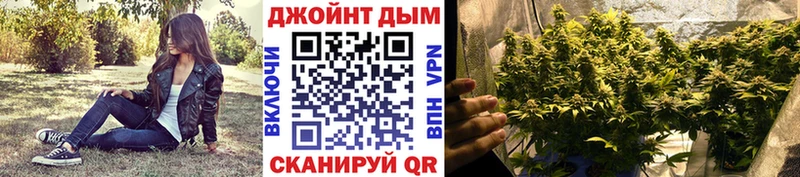 Бошки Шишки White Widow  Купить  Балей 